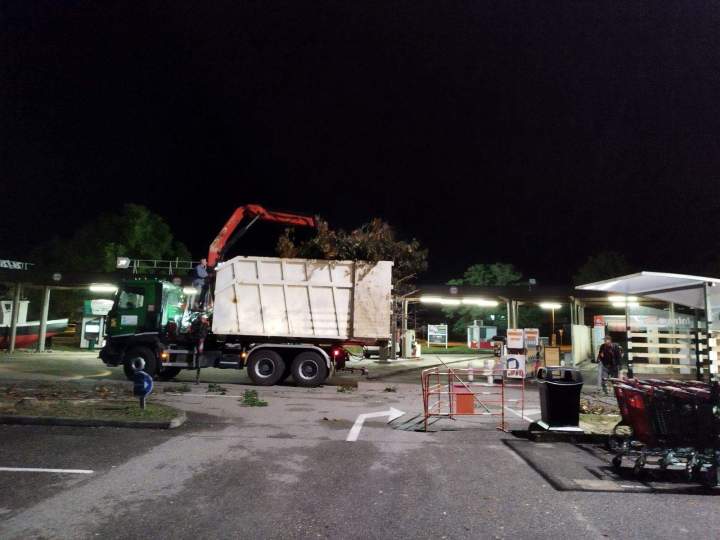 Travaux d'abattage Osthouse