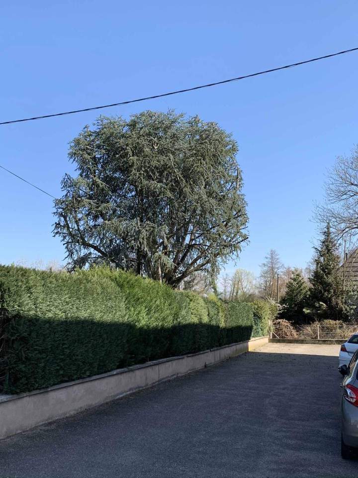 Entretien de jardin Grand Est