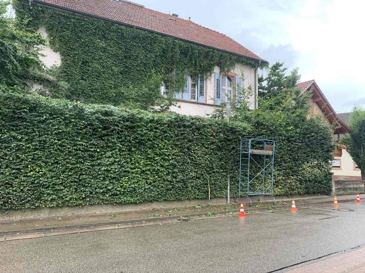 Aménagement paysager Osthouse