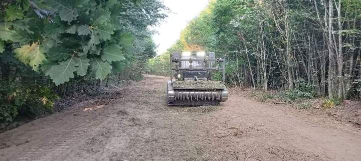 Broyeur forestier à Grand Est