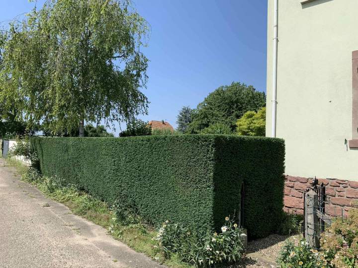 Un accompagnement sur mesure pour l'entretien de votre jardin